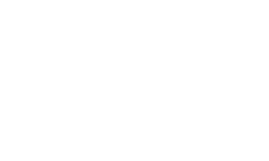 logotipo en valor blanco